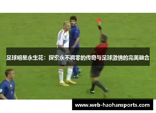 足球明星永生花：探索永不凋零的传奇与足球激情的完美融合