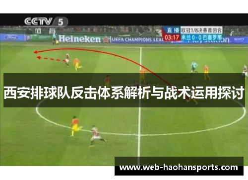 西安排球队反击体系解析与战术运用探讨